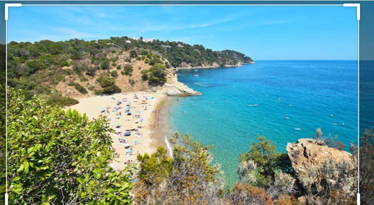Cavalaire Vue Mer Au Loin Maisonnette Tout Equipee Pour 4 Personnes Avec Piscine Clim Wifi Velos Tv Barbecues Cavalaire-sur-Mer Exterior foto
