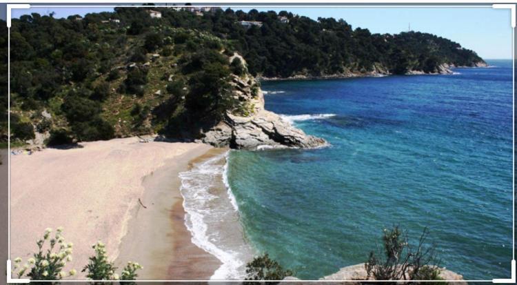 Cavalaire Vue Mer Au Loin Maisonnette Tout Equipee Pour 4 Personnes Avec Piscine Clim Wifi Velos Tv Barbecues Cavalaire-sur-Mer Exterior foto